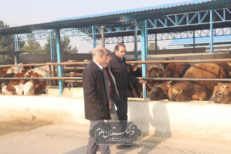 امنیت غذایی 6